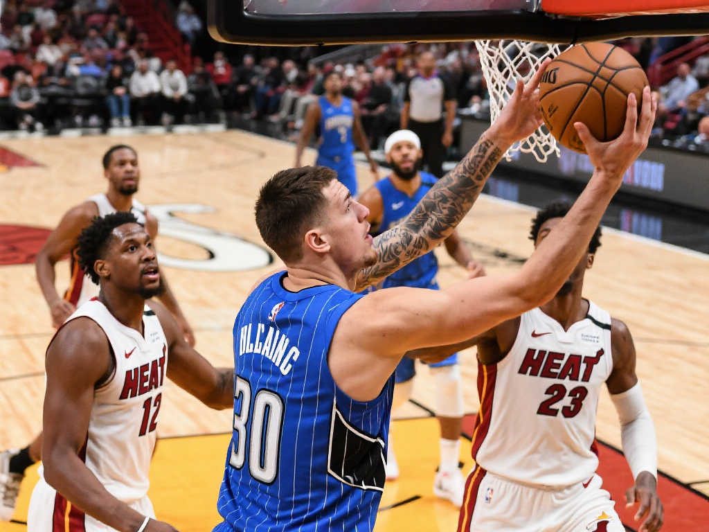 是杨皓宇需 是杨皓宇需