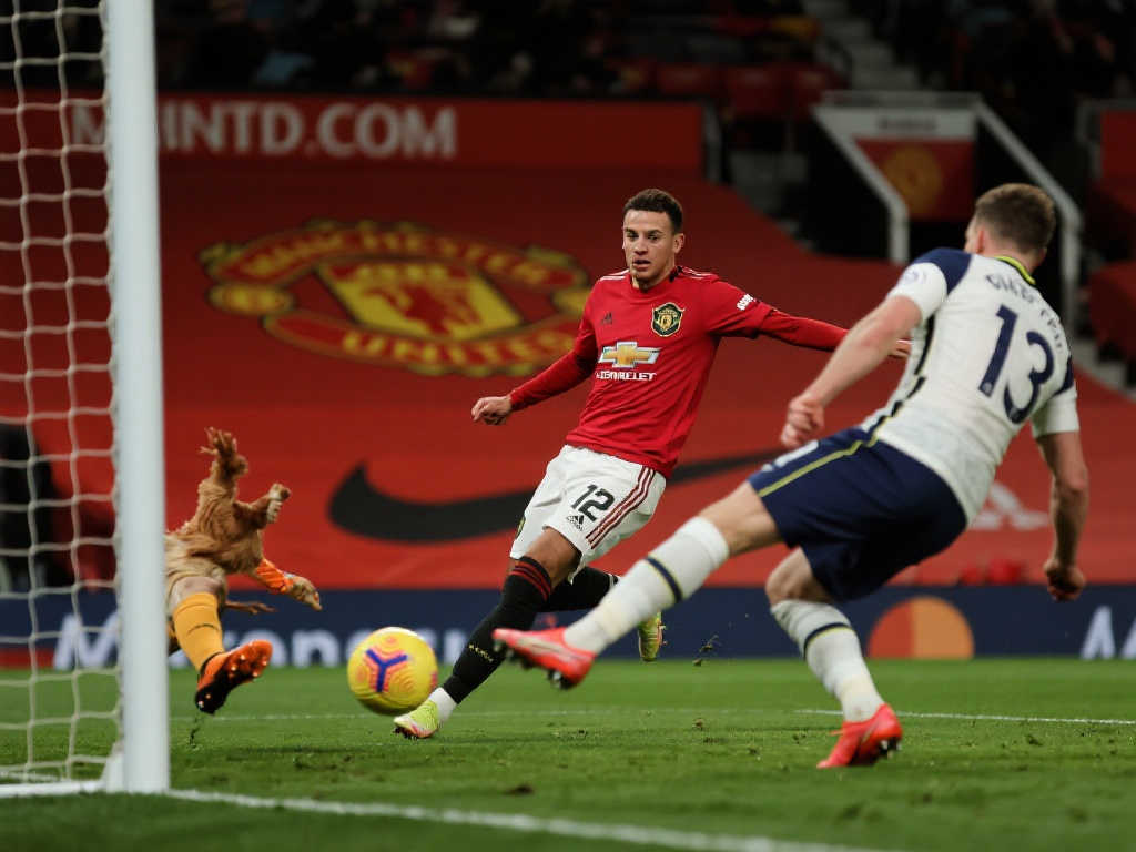 唯有靠整體 唯有靠整體